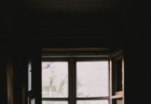 “작은 습관, 큰 변화… 일상 속에서 지킬 수 있는 정신건강 관리법” open casement window near plants