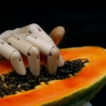 “AI와 함께하는 똑똑한 건강 관리, 우리 집에서도 손쉽게!” sliced fruit on orange plate