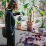 만성피로, 일상에서 벗어나기…바쁜 현대인을 위한 건강 루틴 제안 a woman watering plants in a window sill