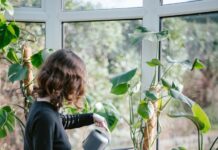만성피로, 일상에서 벗어나기…바쁜 현대인을 위한 건강 루틴 제안 a woman watering plants in a window sill