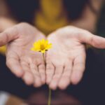 ‘마음 챙김’이 새로운 건강 공식… 일상 속 정신건강 실천법 주목 selective focus photography of woman holding yellow petaled flowers