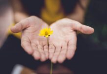 ‘마음 챙김’이 새로운 건강 공식… 일상 속 정신건강 실천법 주목 selective focus photography of woman holding yellow petaled flowers